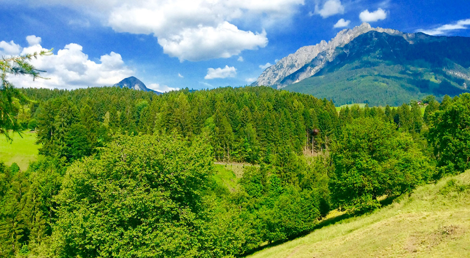 Der Blick ins Grüne am Tieschnhof